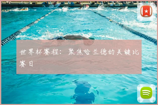 世界杯赛程:聚焦哈兰德的关键比赛日
