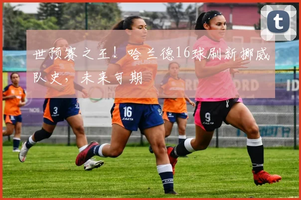 世预赛之王！哈兰德16球刷新挪威队史，未来可期